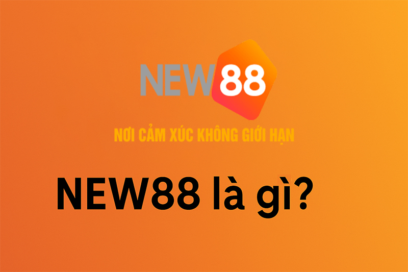 NEW88 là nhà cái uy tín hàng đầu